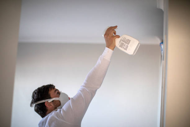 Best Crawl Space Mold Removal  in Greenville, DE
