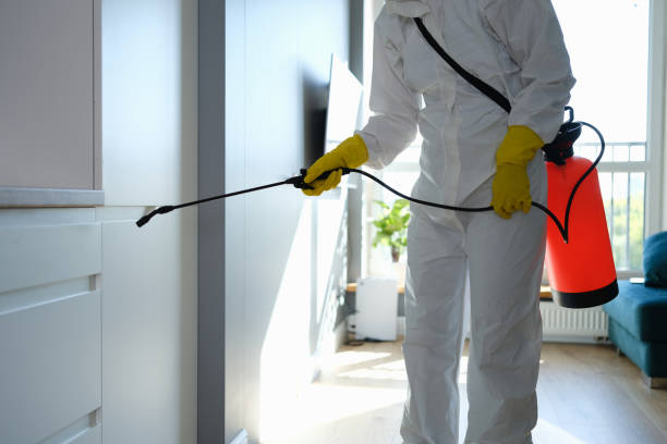 Best Professional Mold Removal  in Greenville, DE