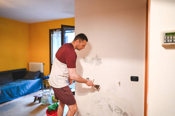 Best Office Mold Removal Services  in Greenville, DE